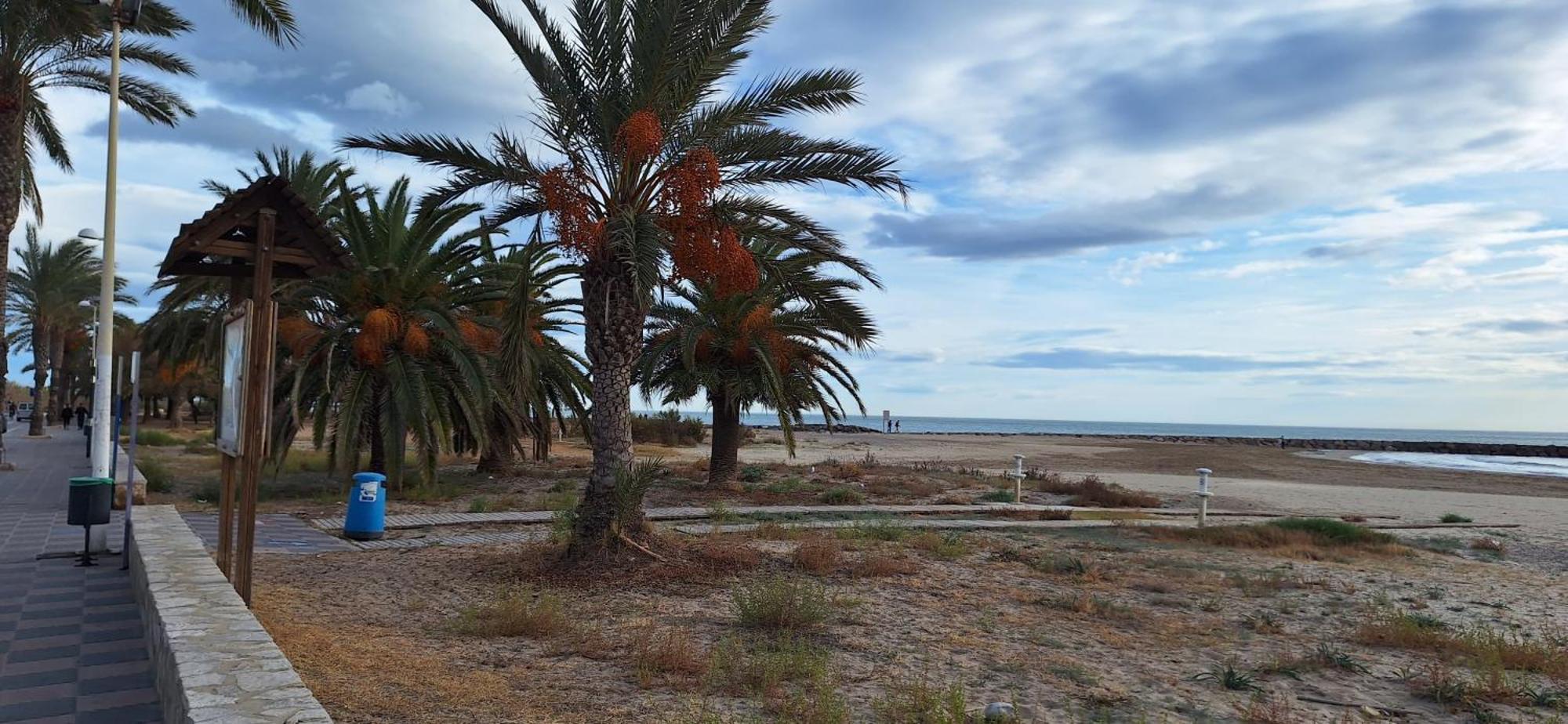Vacaciones En El Mar Apartman Sagunto Kültér fotó